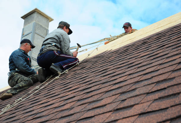 Best New Roof Installation  in Grants Pass, OR